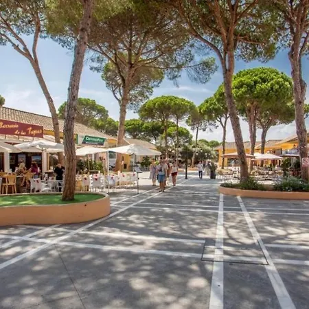 Luxury Penthouse In Jardines De Don Carlos * マルベーリャ